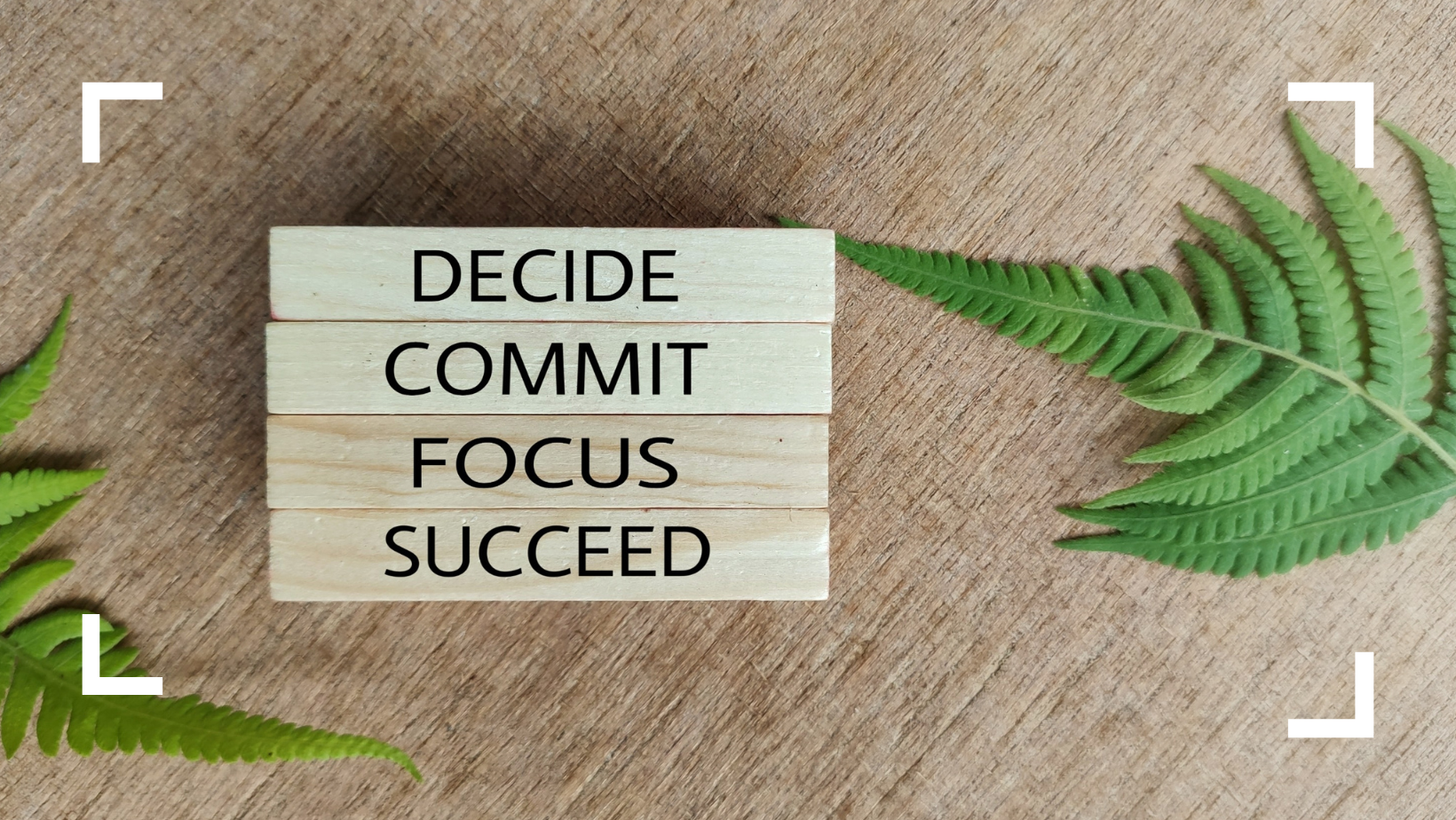 Inicio de año 2026: cómo empezar con claridad, foco y organización