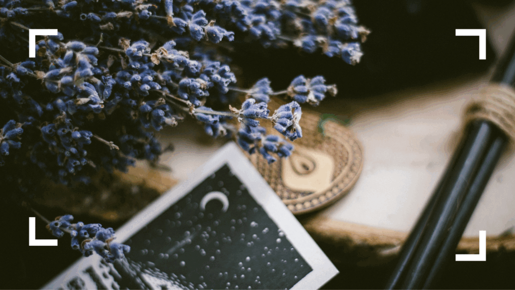 Ritual para la agenda de las brujas