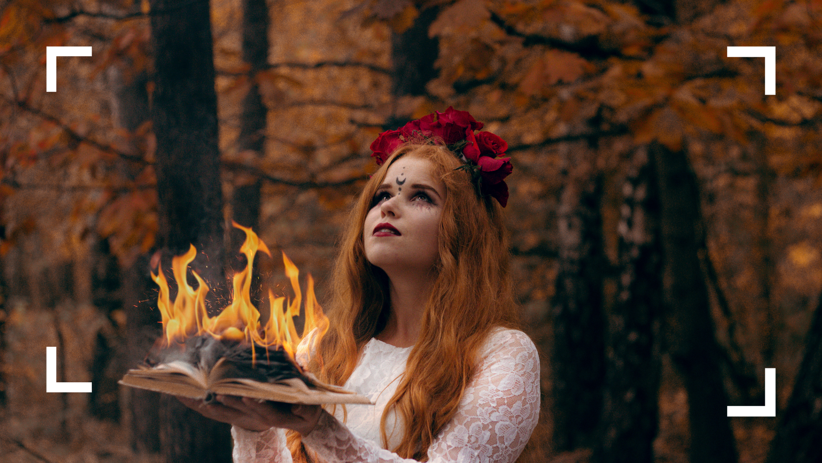 Funda de libro