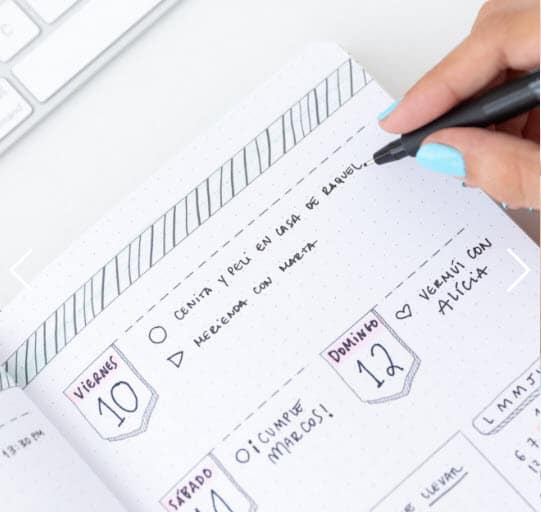 Agenda bullet atemporal Mr Wonderful