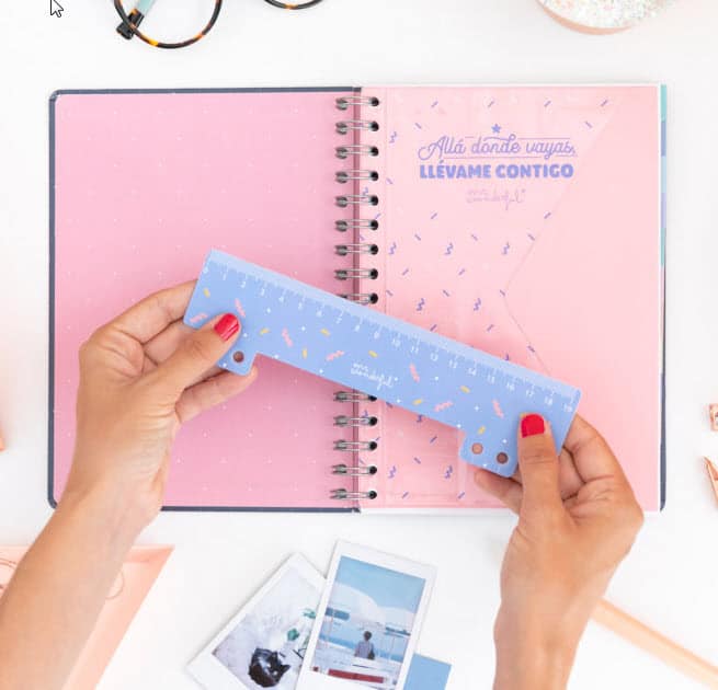 Regla de agenda Mr Wonderful